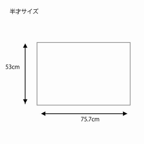 包装紙 半才 筋無地 オレンジ