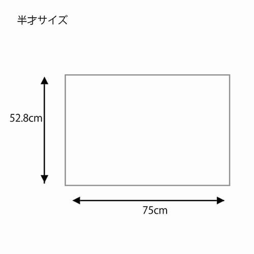 包装紙 半才 シンプルドット Ｂ