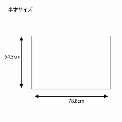 包装紙 半才 特厚 ニュースレター