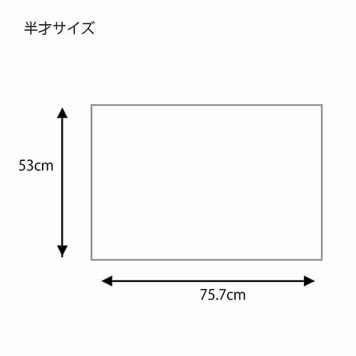 包装紙 半才 ニューリボン 金