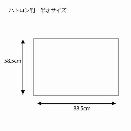 包装紙 ハトロン判 半才 ハーブリーフ ＯＲ