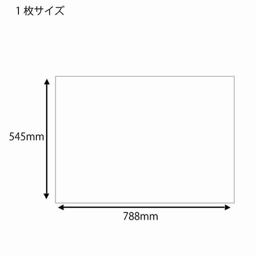 和紙 雲龍紙金銀振 ミズ