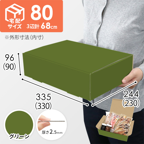 【グリーン色】宅配80サイズ・N式ケース（330×230×90mm・A4サイズ・はっ水加工なし）