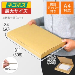ネコポス最大】厚さ2.5cm・ジッパー付きケース（A4サイズ） | 梱包材