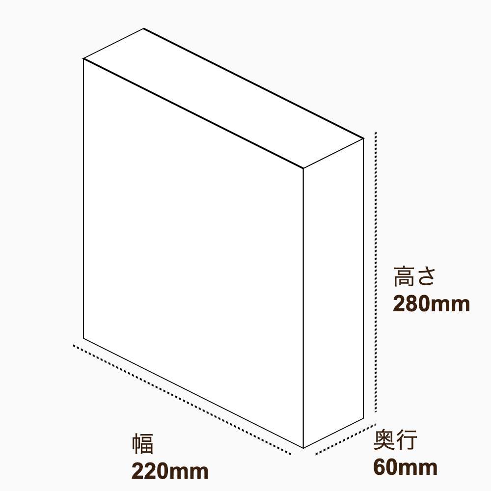 オリジナル印刷パッケージ（化粧箱（差し込み式）・220×60×280mm・コートボール紙 350g・マットOPニス・12営業日）