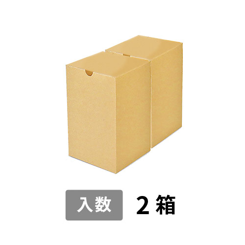 【宅配80サイズ】小箱ぴったり梱包用ダンボール箱［SBOX-01・2箱］（260×135×210mm）8mm W/F C5×C5