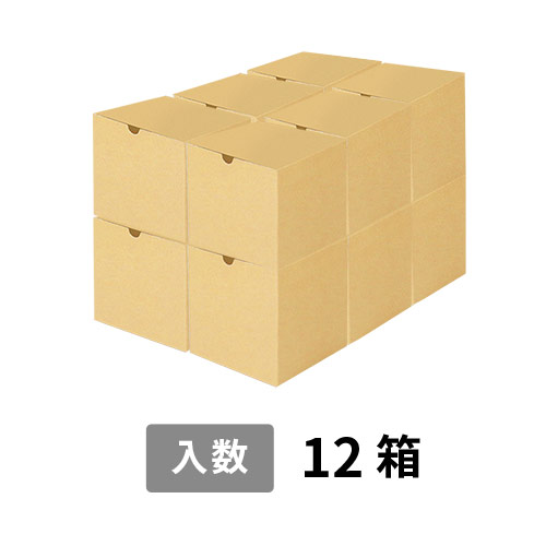 【宅配120サイズ】小箱ぴったり梱包用ダンボール箱［SBOX-02・12箱］（460×310×310mm）5mm A/F K6×強化芯180g×K6