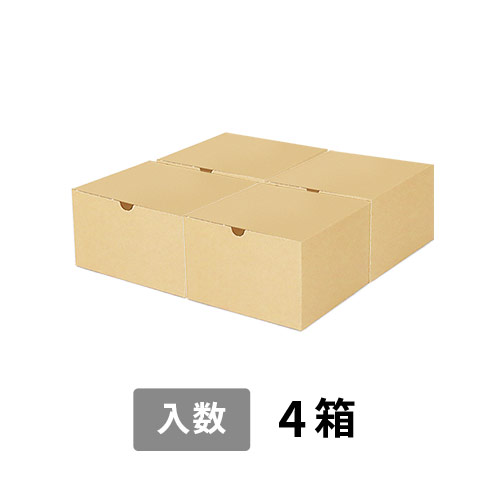 【宅配100サイズ】小箱ぴったり梱包用ダンボール箱［SBOX-03・4箱］（346×346×119mm）5mm A/F 白C5×C5