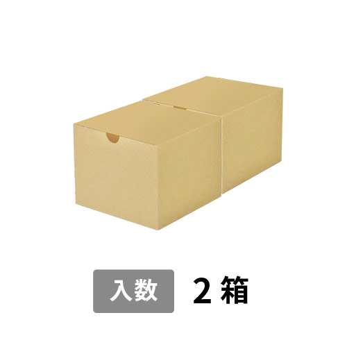 【宅配60サイズ】小箱ぴったり梱包用ダンボール箱［SBOX-04・2箱］（260×135×110mm）5mm A/F K6×強化芯180g×K6