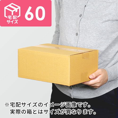 【宅配60サイズ】小箱ぴったり梱包用ダンボール箱［SBOX-04・2箱］（260×135×110mm）8mm W/F C5×C5