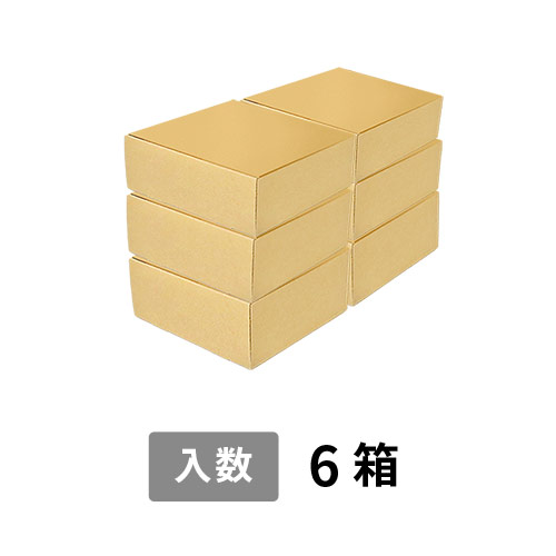 【宅配100サイズ】小箱ぴったり梱包用ダンボール箱［FBOX-01・6箱］（376×200×229mm）8mm W/F C5×C5