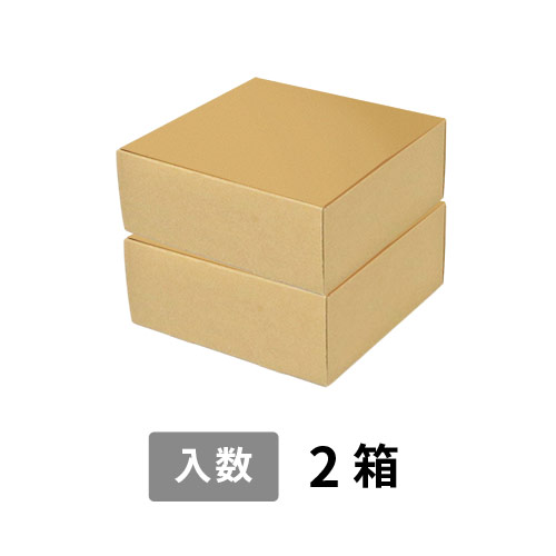 【宅配80サイズ】小箱ぴったり梱包用ダンボール箱［FBOX-02・2箱］（220×213×176mm）8mm W/F C5×C5