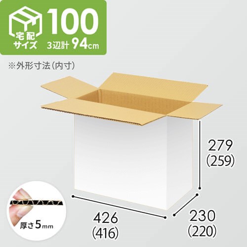 【宅配100サイズ】小箱ぴったり梱包用ダンボール箱［FBOX-02・6箱］（416×220×259mm）5mm A/F 白C5×C5