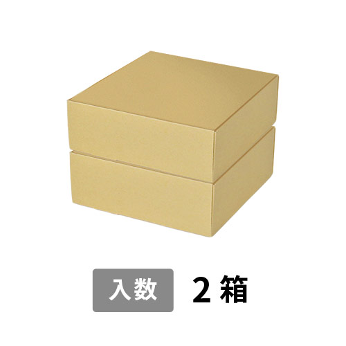 【宅配80サイズ】小箱ぴったり梱包用ダンボール箱［FBOX-03・2箱］（245×238×176mm）3mm B/F 白C5×C5