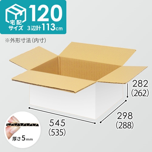 【宅配120サイズ】小箱ぴったり梱包用ダンボール箱［FBOX-04・12箱］（535×288×262mm）5mm A/F 白C5×C5