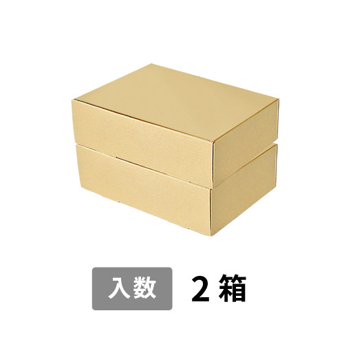 【宅配100サイズ】小箱ぴったり梱包用ダンボール箱［FBOX-08・2箱］（333×240×196mm）5mm A/F K6×強化芯180g×K6