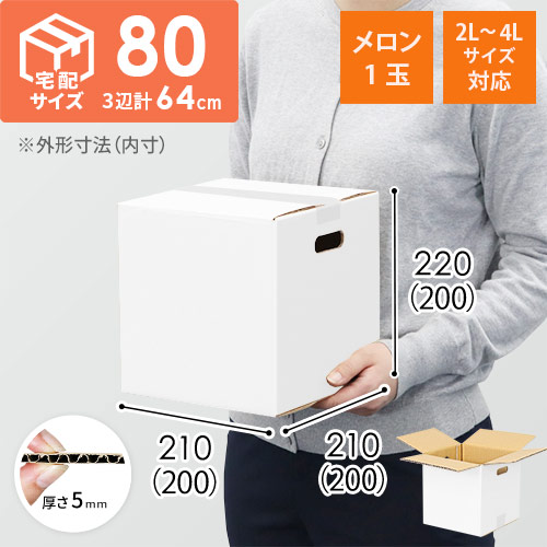 【宅配80サイズ】ダンボール箱（メロン1玉用・2L~4Lサイズ対応）