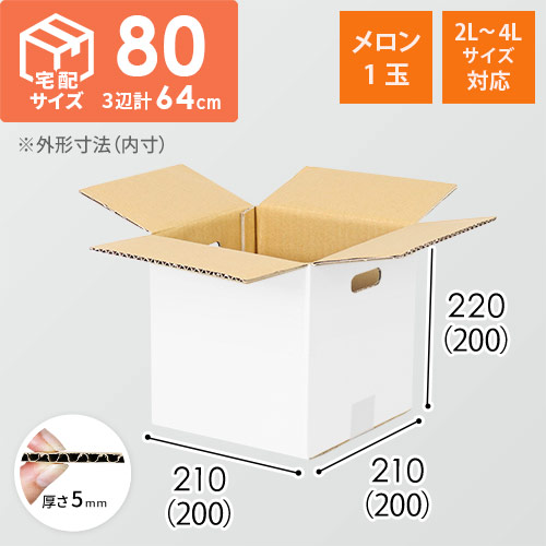 【宅配80サイズ】ダンボール箱（メロン1玉用・2L~4Lサイズ対応）