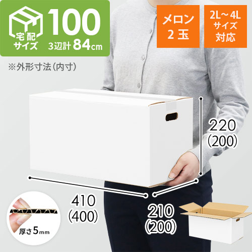 【宅配100サイズ】ダンボール箱（メロン2玉用・2L~4Lサイズ対応）