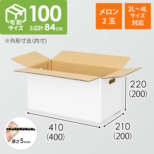 【宅配100サイズ】ダンボール箱（メロン2玉用・2L~4Lサイズ対応）