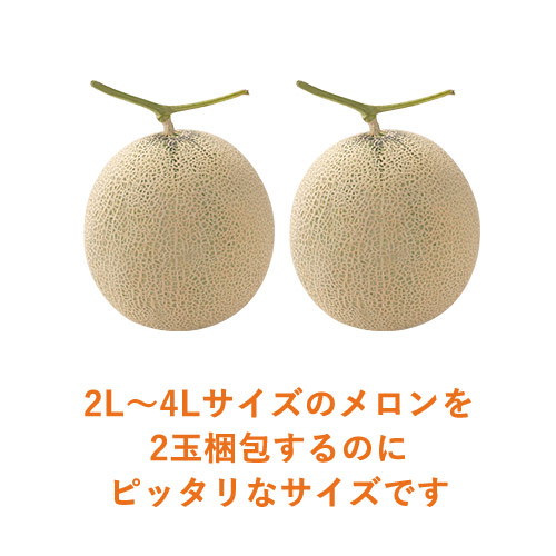 【宅配100サイズ】ダンボール箱（メロン2玉用・2L~4Lサイズ対応）