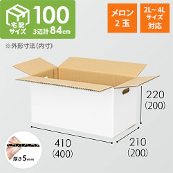 【宅配100サイズ】ダンボール箱（メロン2玉用・2L~4Lサイズ対応）