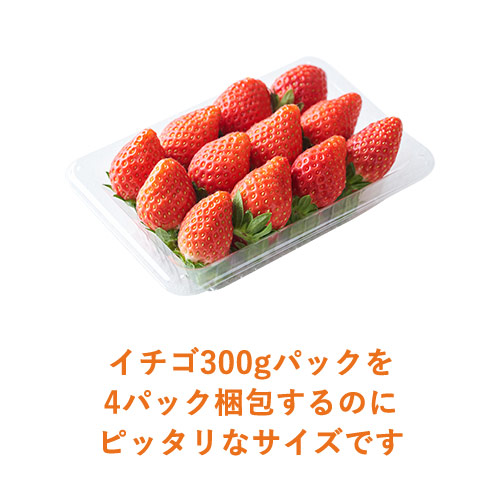 イチゴ用ダンボール箱（300g×4パック）