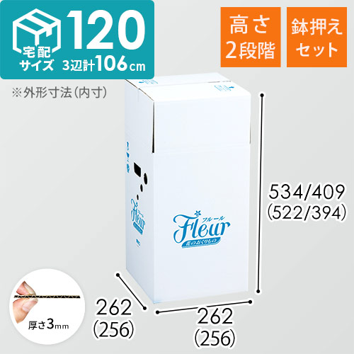 フラワー発送 BOX（鉢押えセット・高さ変更可能・256×256×522mm）【宅配120サイズ】