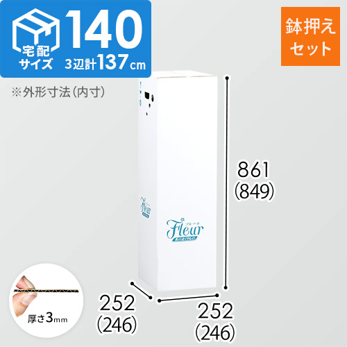 フラワー発送 BOX（鉢押えセット・246×246×849mm）【宅配140サイズ】