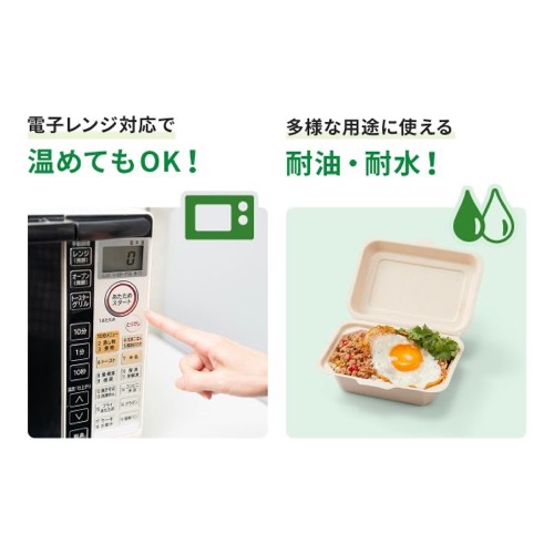 パックスタイル バガス容器 BBランチ 150-150