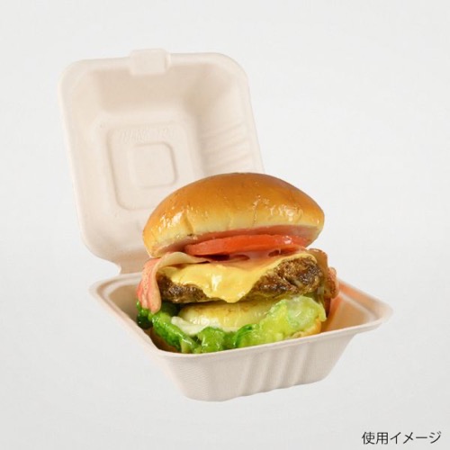 パックスタイル バガス容器 BBランチ 150-150