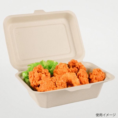 パックスタイル バガス容器 BBランチ 180-130（5枚入）