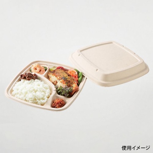 パックスタイル バガス容器 BB弁当 N23-23A ラミ