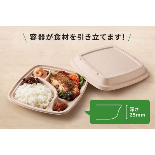 パックスタイル バガス容器 BB弁当 N23-23A ラミ