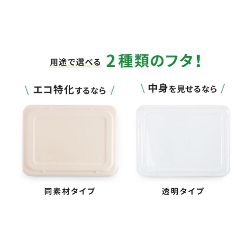 パックスタイル バガス容器 WB弁当 23-17E ラミ