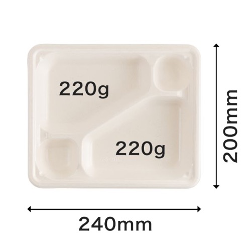 パックスタイル バガス容器 WB弁当 24-20C ラミ