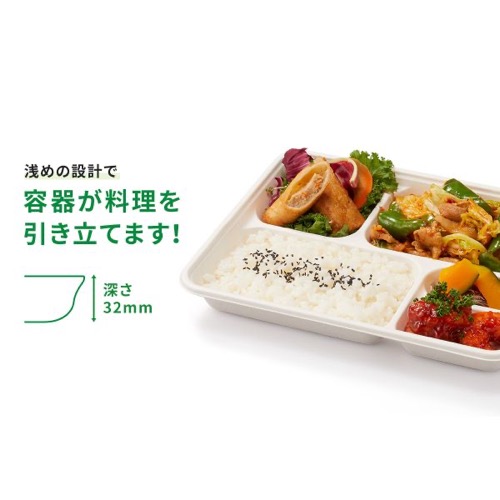 パックスタイル バガス容器 WB弁当 24-20C ラミ