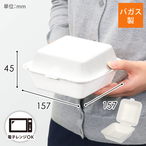 パックスタイル 弁当容器 ABランチ160-160