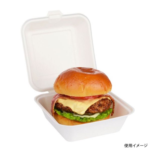 パックスタイル 弁当容器 ABランチ160-160