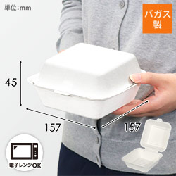 パックスタイル 弁当容器 ABランチ160-160