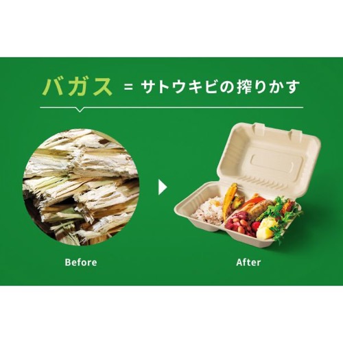 パックスタイル 弁当容器 ABランチ180-130