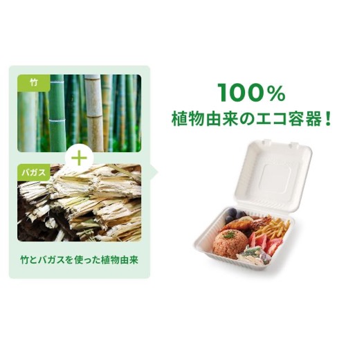 パックスタイル 弁当容器 ABランチ180-130