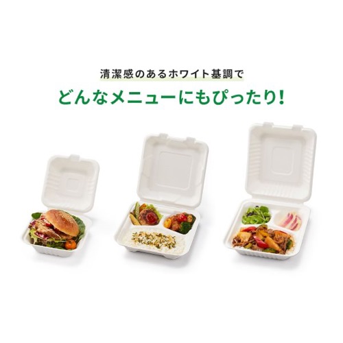 パックスタイル 弁当容器 ABランチ180-130