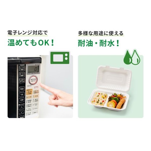 パックスタイル 弁当容器 ABランチ180-130