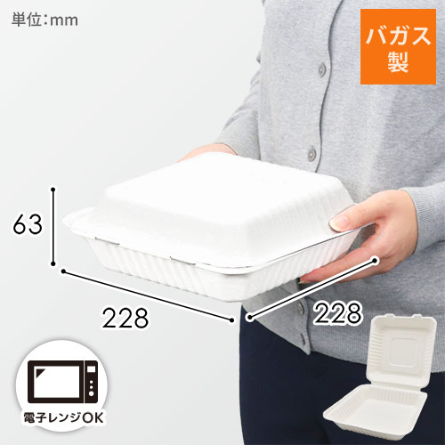 パックスタイル 弁当容器 ABランチ230-230