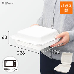 パックスタイル 弁当容器 ABランチ230-230