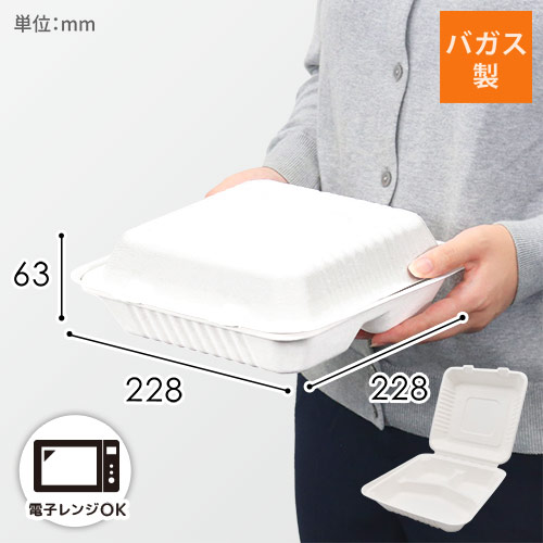 パックスタイル 弁当容器 ABランチ230-230-3