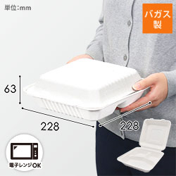 パックスタイル 弁当容器 ABランチ230-230-3