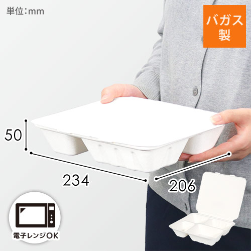 パックスタイル 弁当容器 ABランチ240-210-4