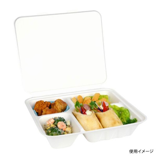 パックスタイル 弁当容器 ABランチ240-210-4